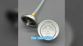 สเปรย์ระงับกลิ่นกายวาล์ว ผู้เชี่ยวชาญด้านการควบคุมกลิ่น