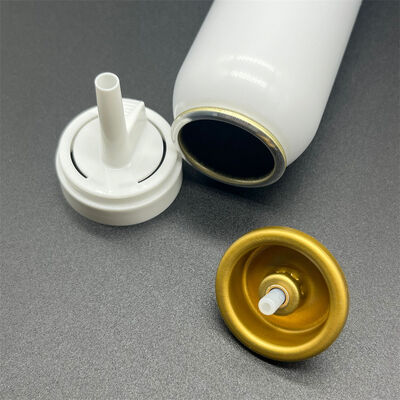 อุปกรณ์เสริมมูสใส่ผมแบบสเปรย์ (Aerosol) แบบ Universal Fit สำหรับการสร้างแบรนด์ OEM พร้อมฝาครอบและหัวฉีดที่ปรับแต่งได้